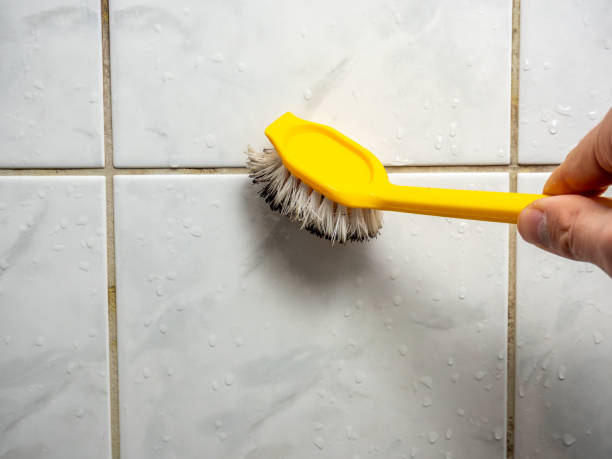 Best Emergency Mold Removal  in Otsego, MN
