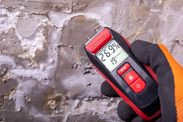 Best Crawl Space Mold Removal  in Otsego, MN
