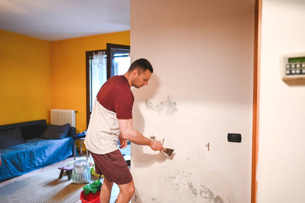 Best Professional Mold Removal  in Otsego, MN
